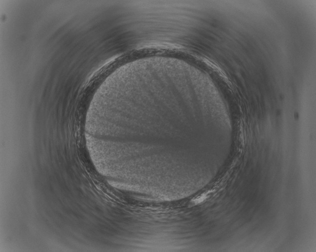 X0000083650872200703121743