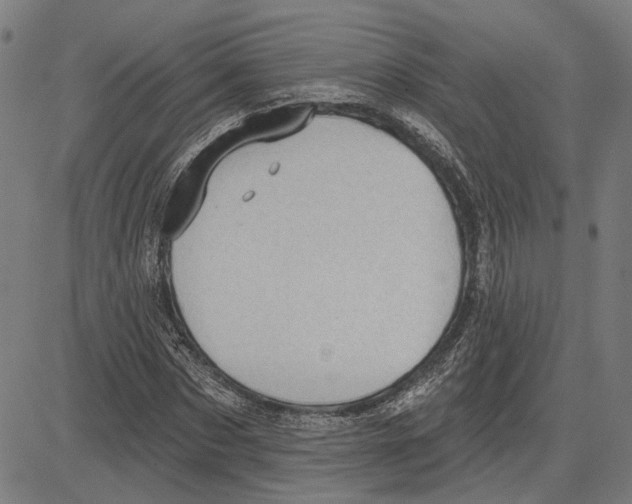 X0000083650873200703121743