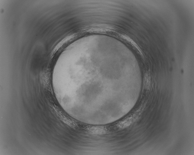 X0000083650874200703121743