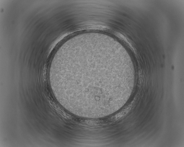 X0000083650875200703121743