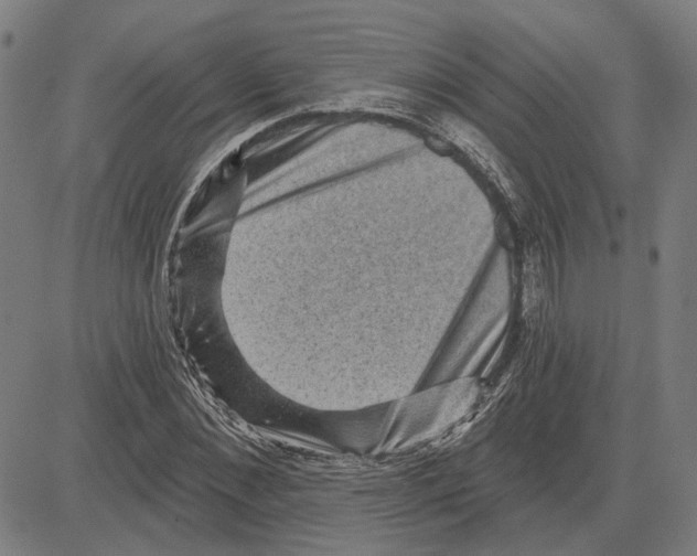 X0000083650876200703121743