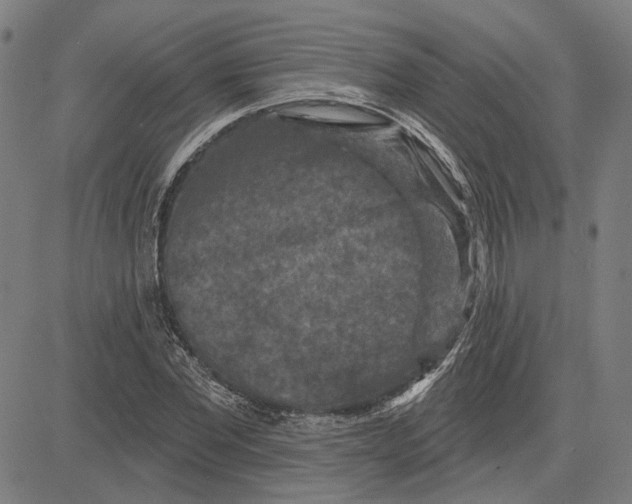 X0000083650877200703121743