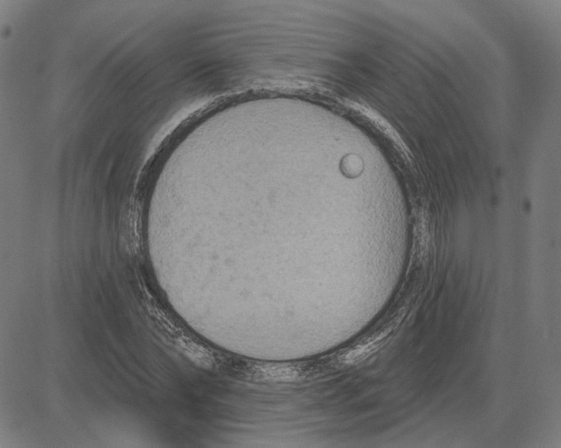 X0000083650878200703121743