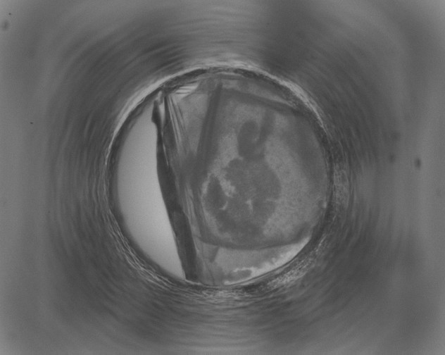 X0000083650879200703121743