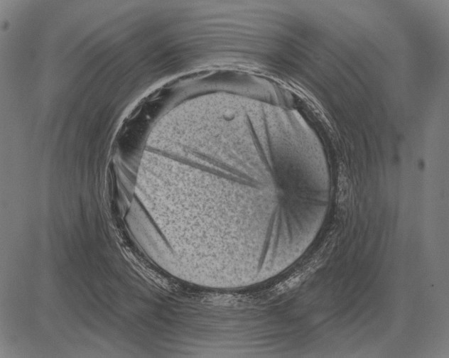 X0000083650880200703121743