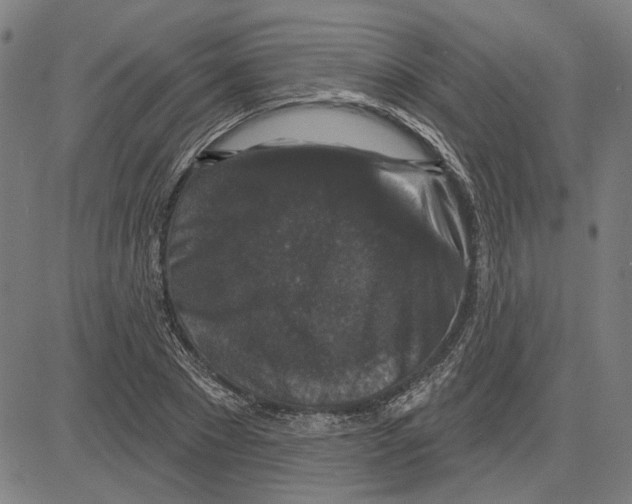 X0000083650881200703121743