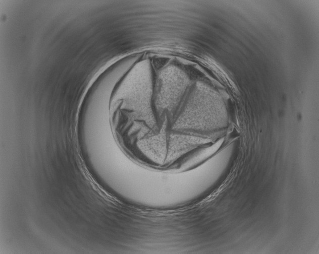 X0000083650884200703121743