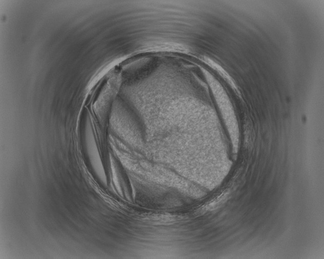 X0000083650885200703121742