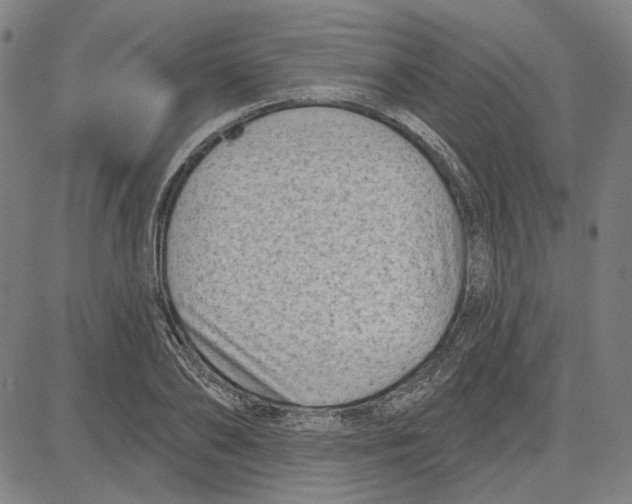 X0000083650886200703121742