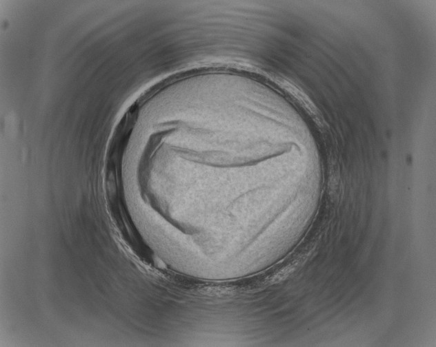 X0000083650888200703121742