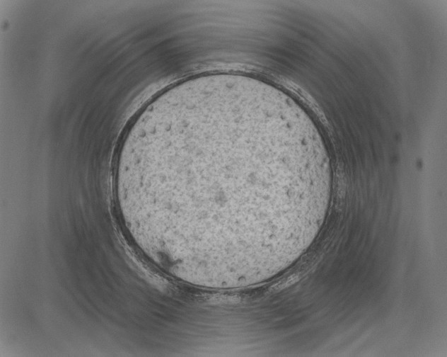 X0000083650890200703121742