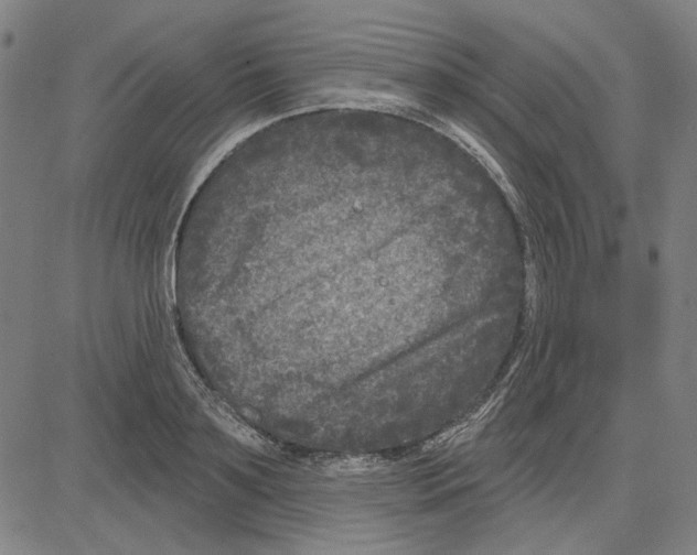 X0000083650891200703121742