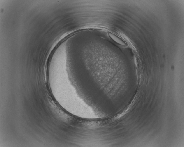 X0000083650892200703121742