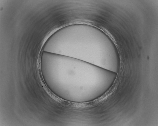 X0000083650893200703121742