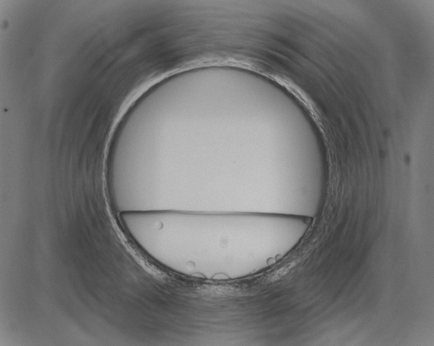 X0000083650894200703121742