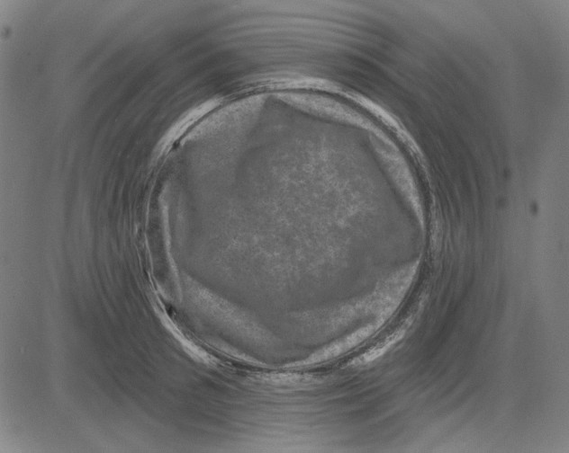 X0000083650897200703121742