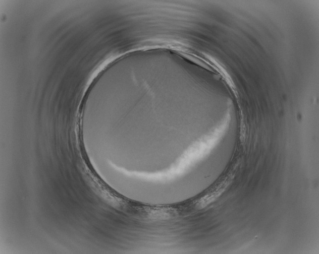 X0000083650899200703121742