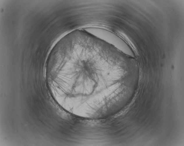 X0000083650900200703121742