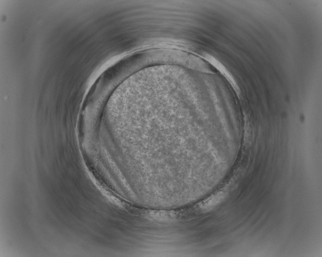 X0000083650901200703121742