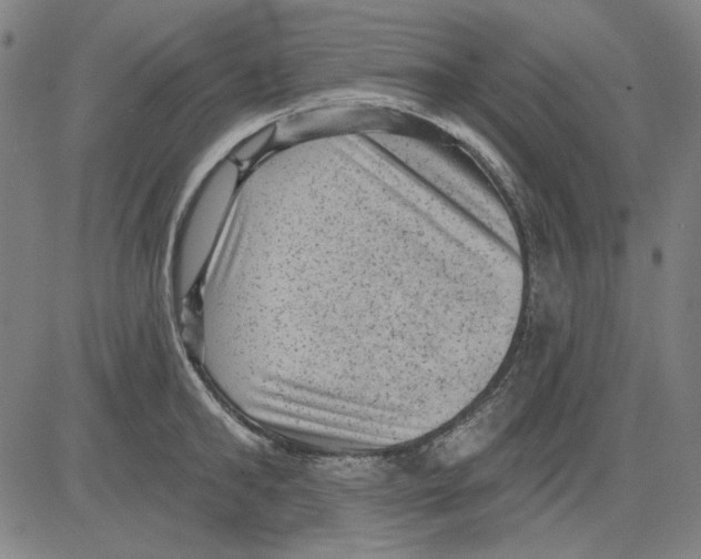 X0000083650902200703121742