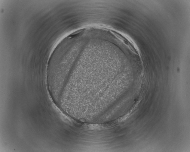 X0000083650903200703121742