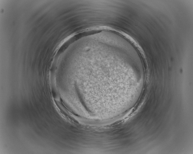 X0000083650905200703121742