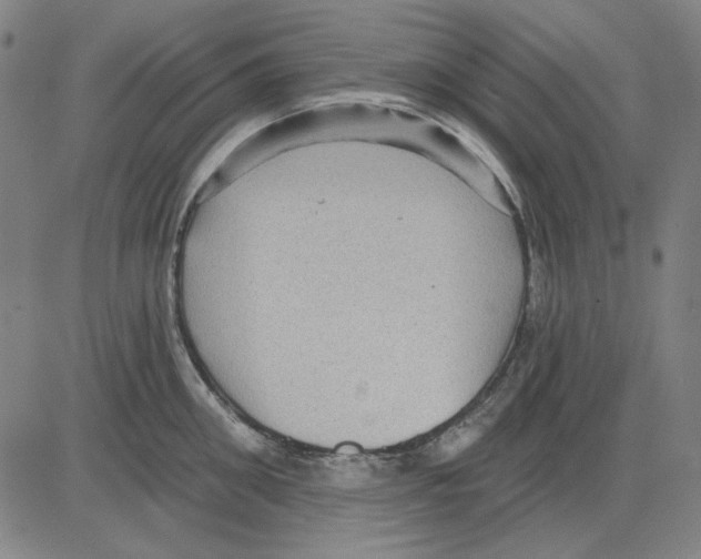 X0000083650906200703121742