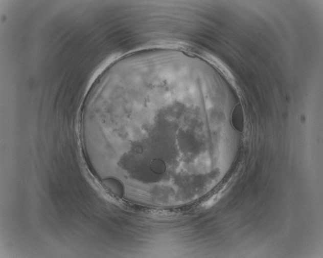 X0000083650907200703121742