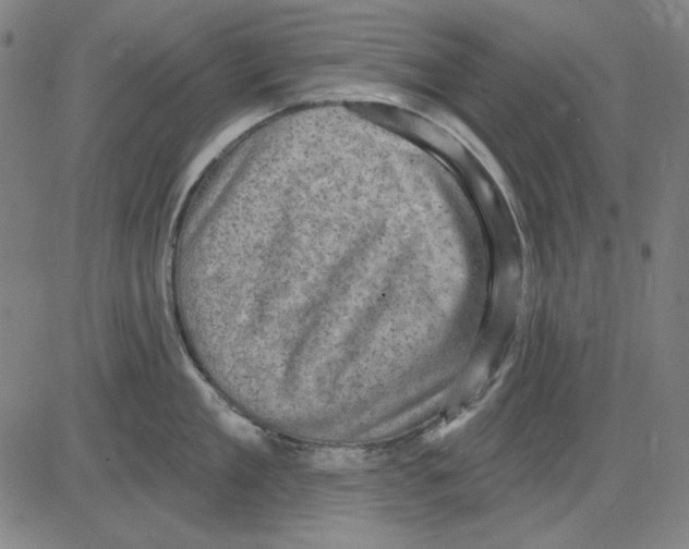 X0000083650909200703121742