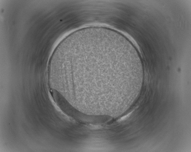 X0000083650911200703121742