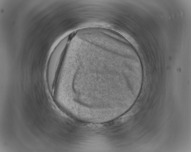 X0000083650912200703121742