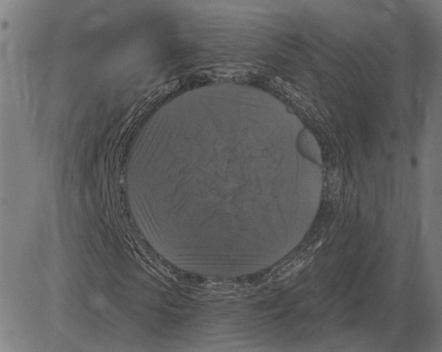 X0000083650913200703121741