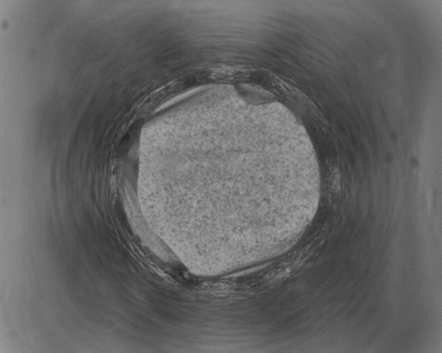 X0000083650914200703121741