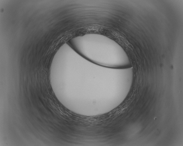 X0000083650916200703121741