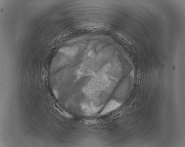 X0000083650917200703121741