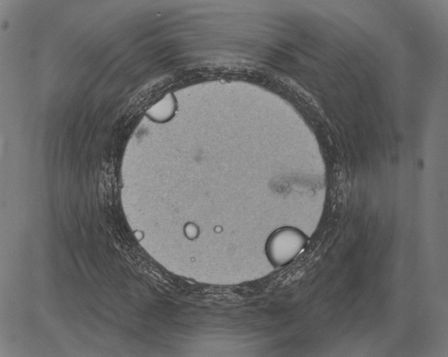 X0000083650918200703121741