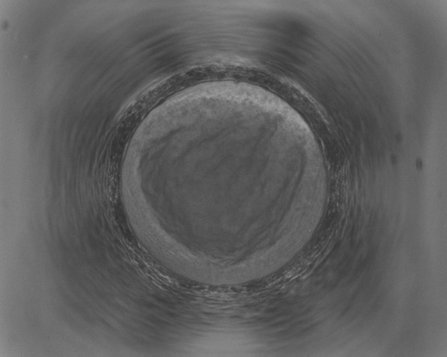 X0000083650919200703121741