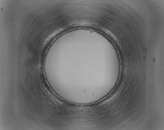 X0000083650922200703121741