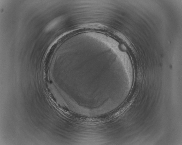 X0000083650923200703121741