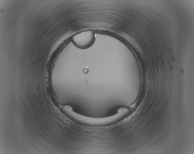 X0000083650926200703121741