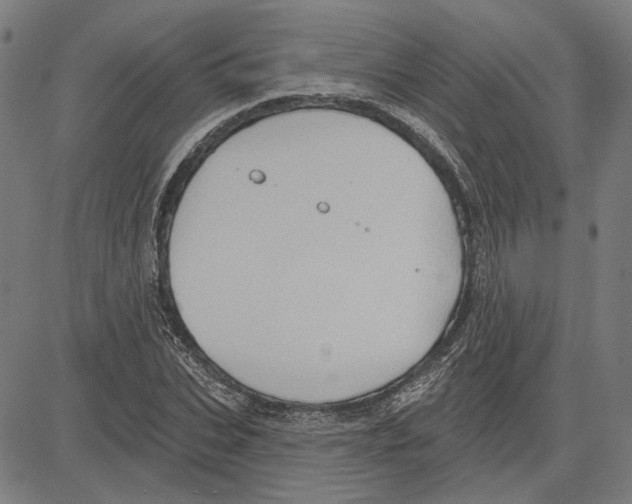 X0000083650927200703121741