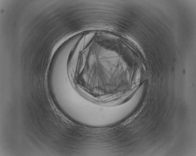 X0000083650928200703121741