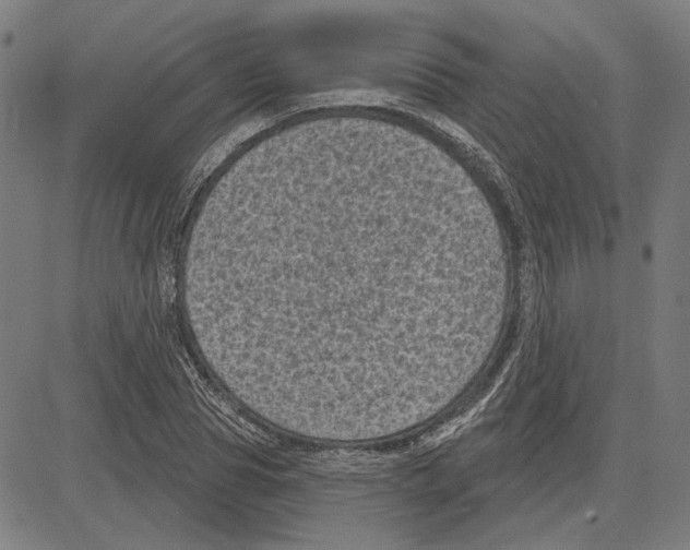 X0000083650929200703121741