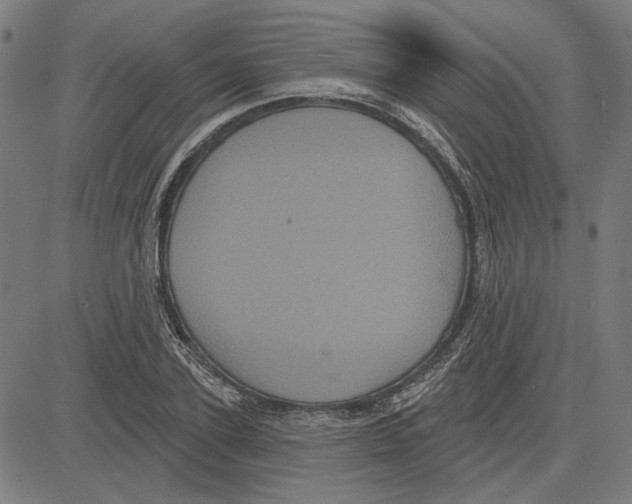 X0000083650931200703121742