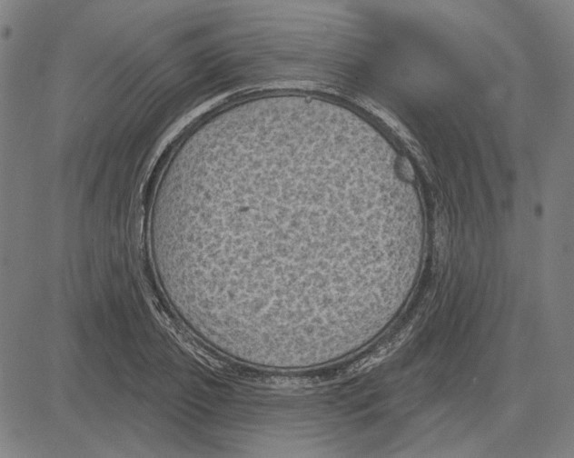 X0000083650933200703121742