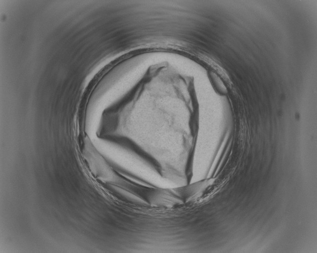 X0000083650936200703121742