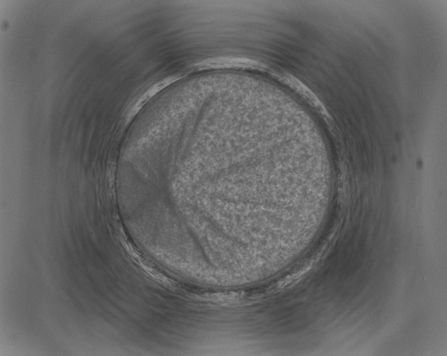 X0000083650937200703121742