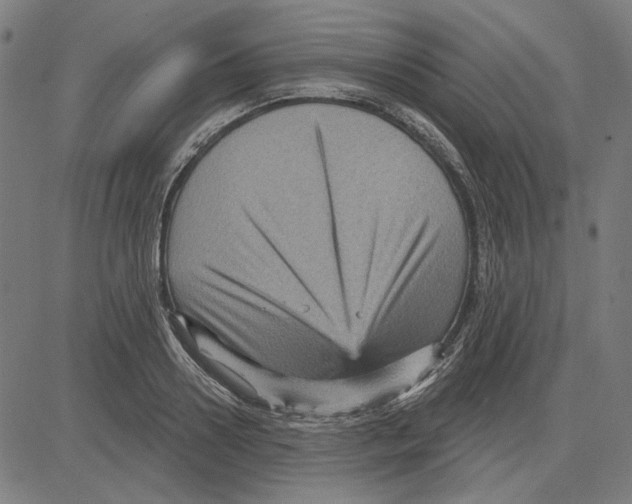 X0000083650938200703121742