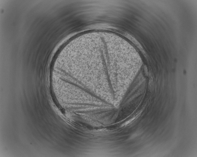 X0000083650939200703121742