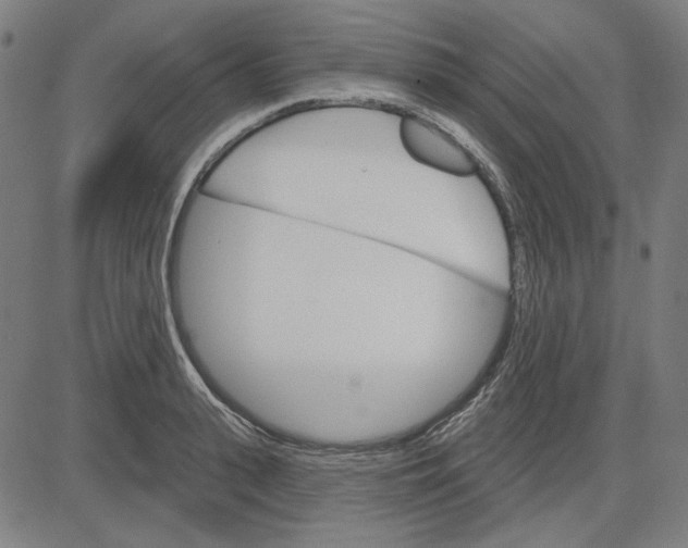 X0000083650943200703121742